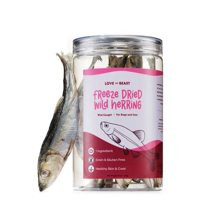 Can i freeze herring?
