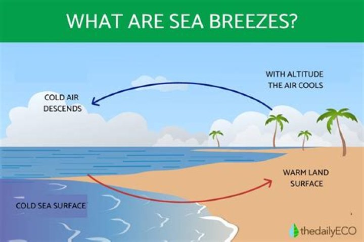 Can sea breeze cause clouds?