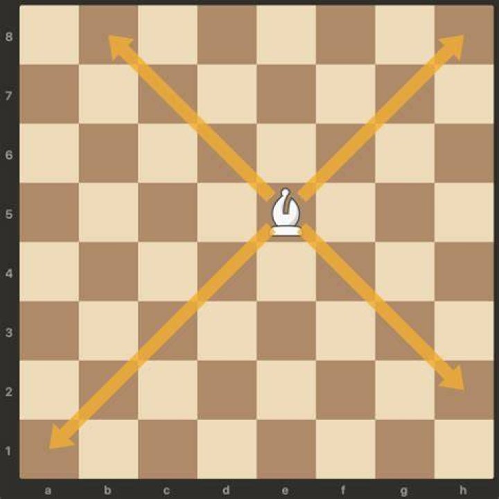 Can the bishop move backwards in chess?