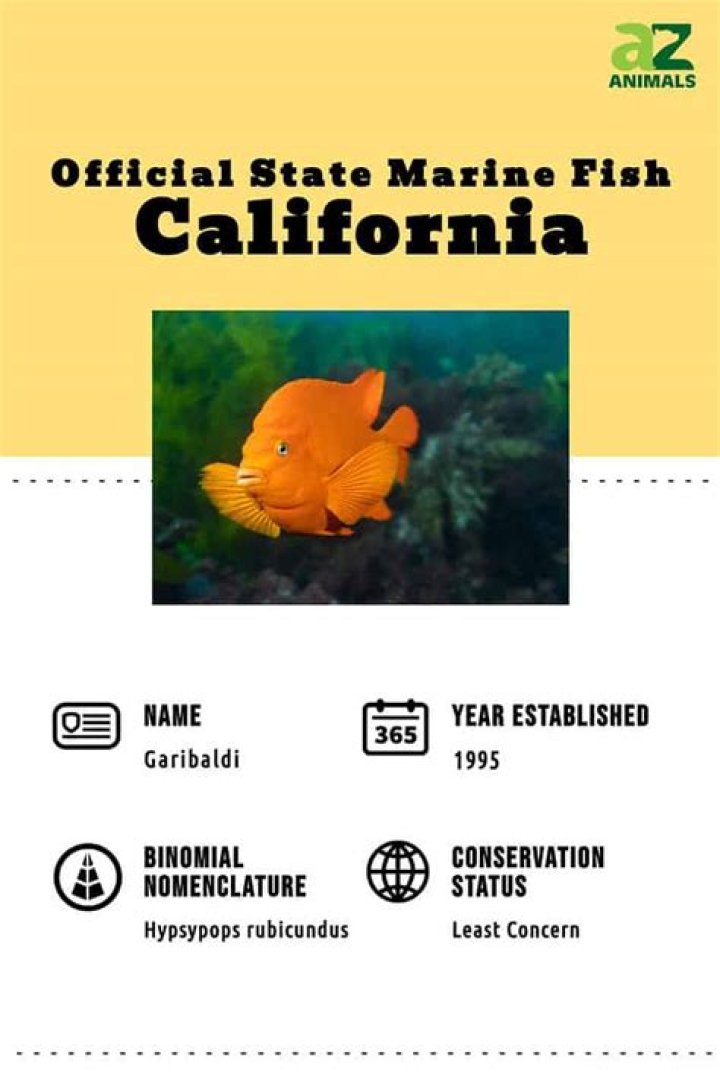 Can you catch garibaldi fish?