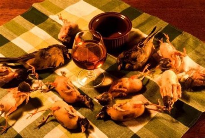 Can you eat ortolan?