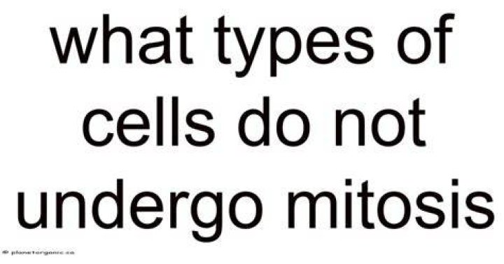 Did not undergo mitosis?
