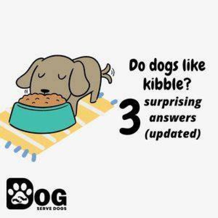 Do dogs like kibble?