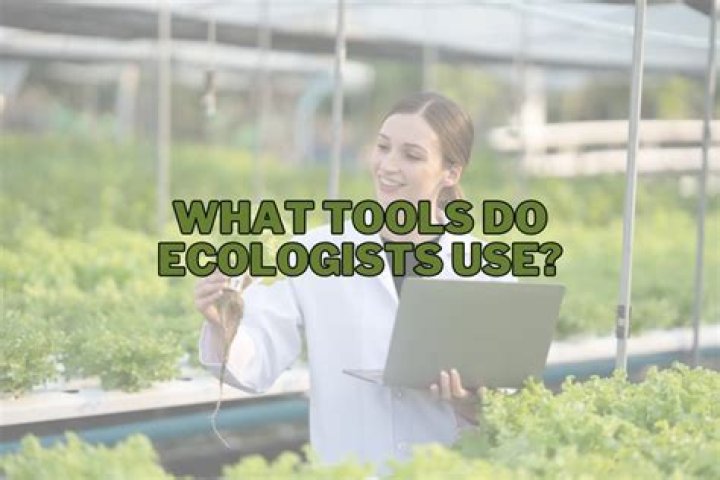 Do ecologists use modeling?