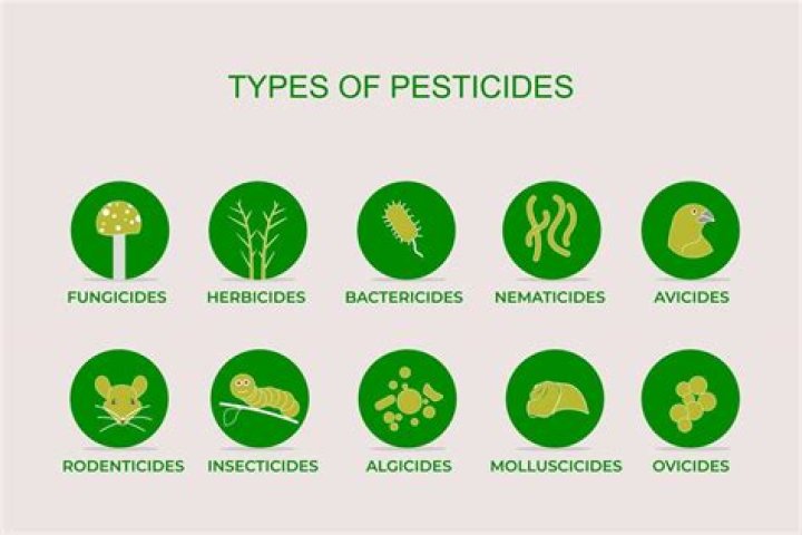 Do fungicides kill birds?
