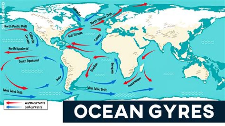 Do gyres redistribute nutrients?