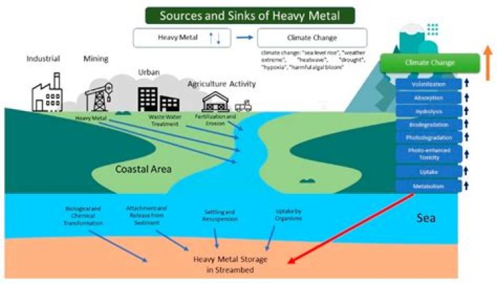 Do heavy sediment deposits affect waterways?