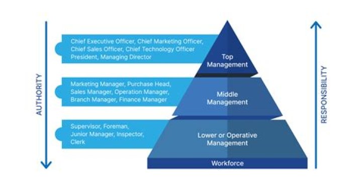 Do organization need managers?