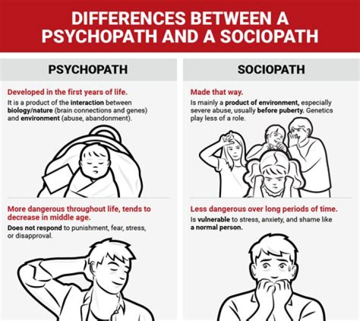 Do psychopaths think logically?