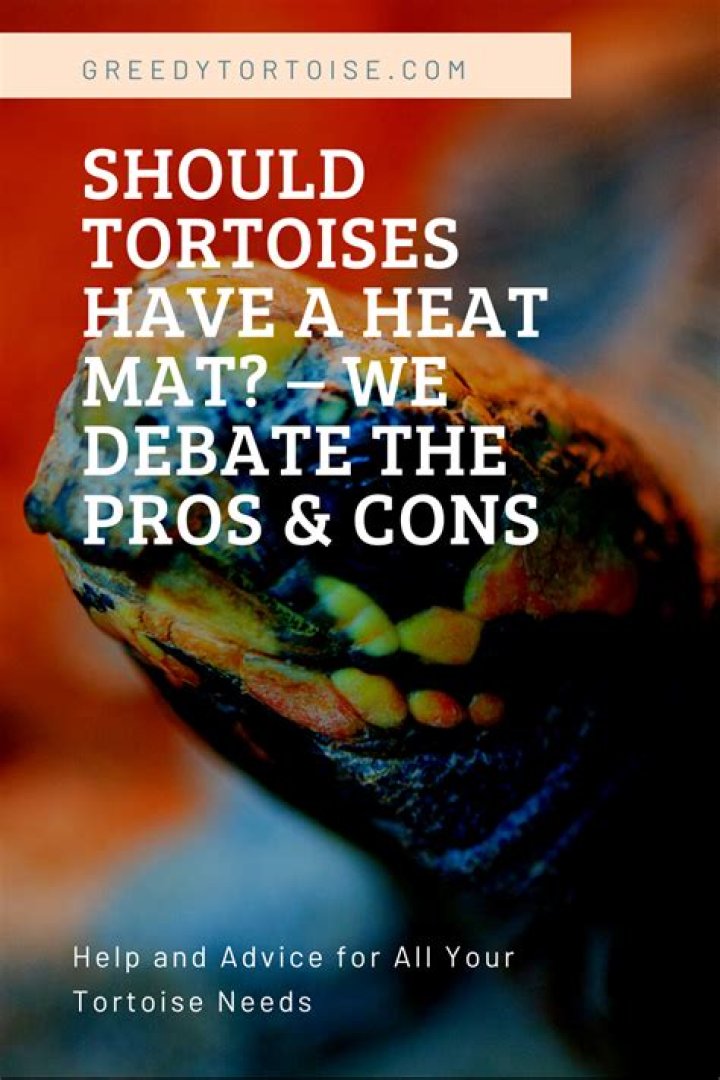 Do tortoise need to be refrigerated?
