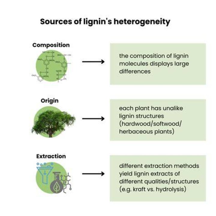 Does algae have lignin?