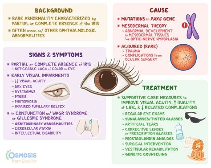 Does aniridia cause blindness?