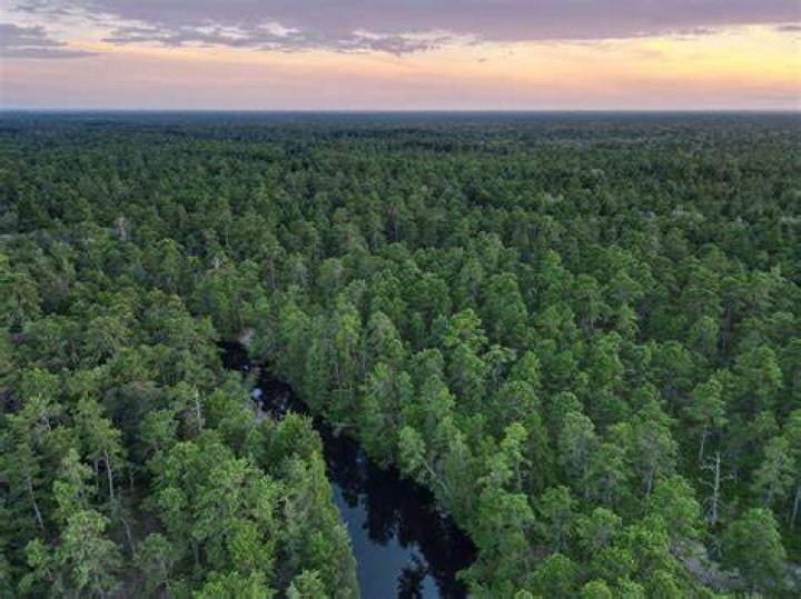 Does anyone live in the pine barrens?