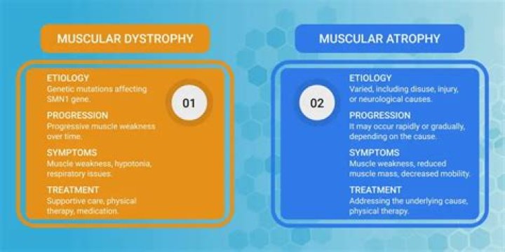 Does dystrophy and atrophy mean the same thing?