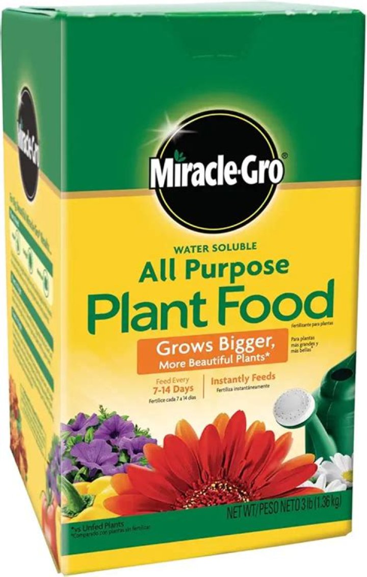 Does miracle grow work on shrubs?