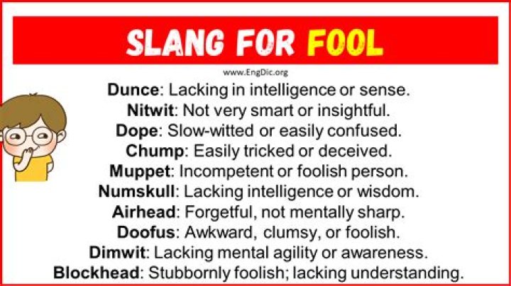 Does nitwit mean fool?