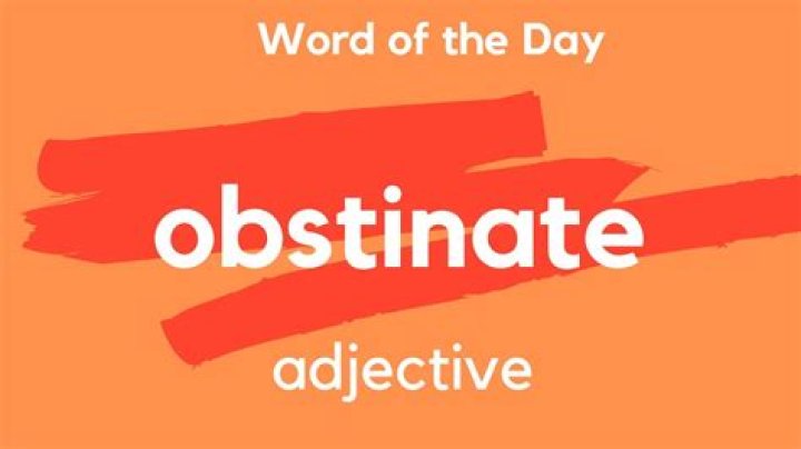 Does obstinate have a negative connotation?