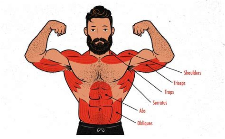 Does overhead press work chest?