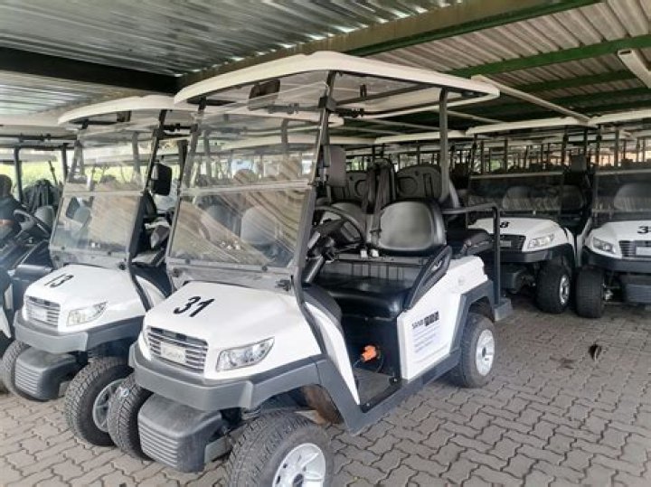 Does pretoria zoo have golf carts?