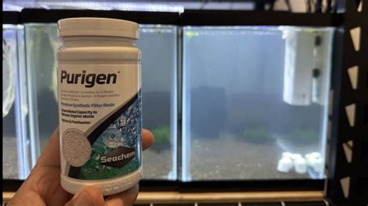 Does seachem stability make tank cloudy?