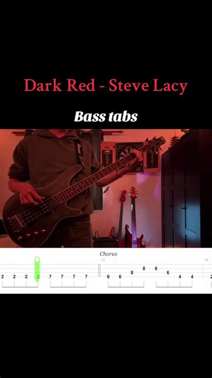 Does steve lacy play bass?