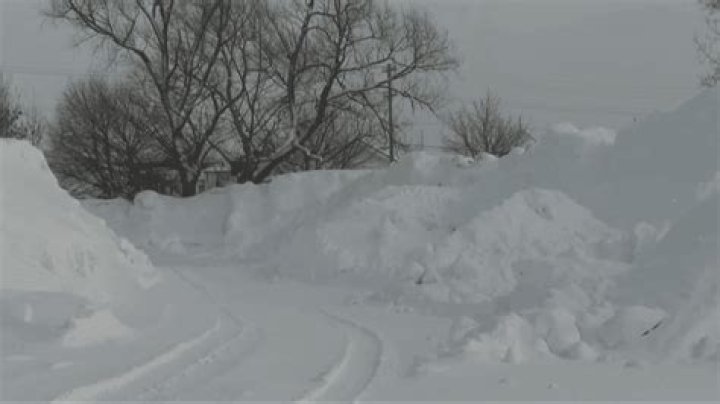 Does traverse city have snow?