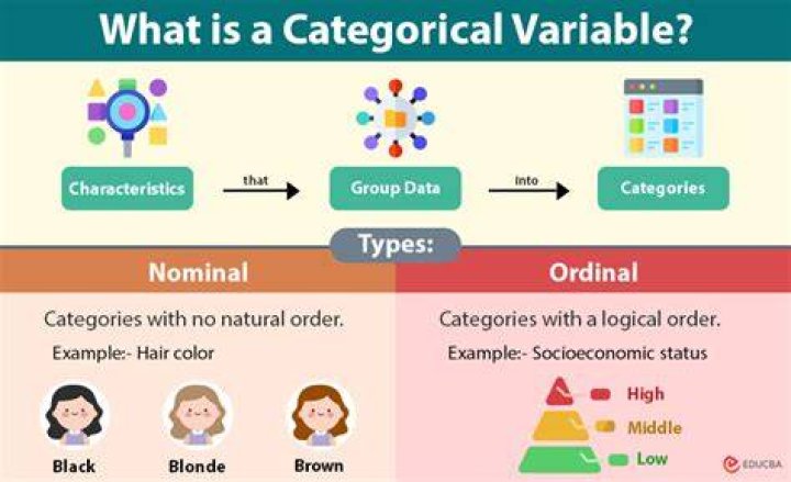 Does vif work for categorical variables?