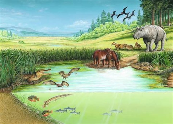 During the eocene epoch?