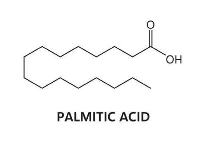 Formula for palmitic acid?