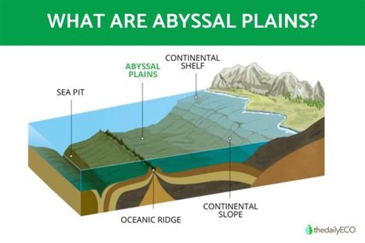 How abyssal plains are formed?