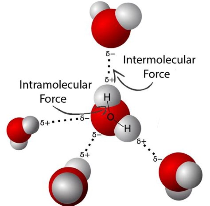 How are intramolecular forces broken?