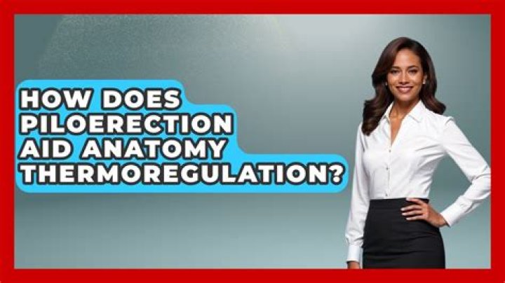 How does piloerection happen?