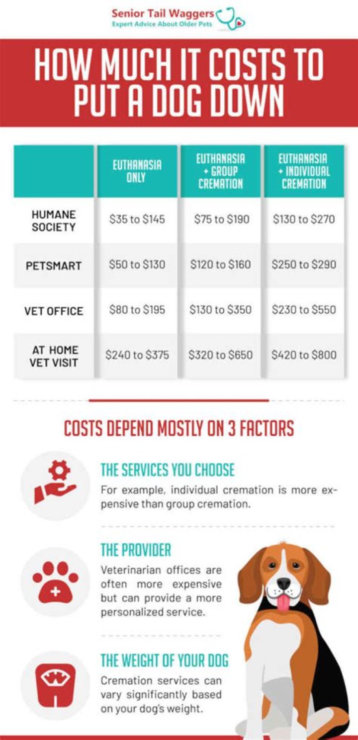 How much it cost to put down a dog?