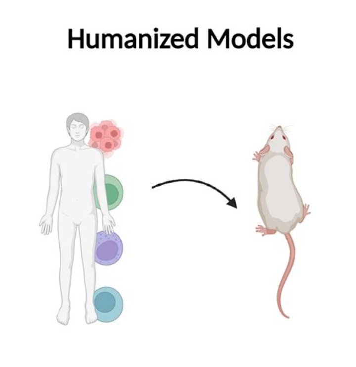 How nature gets humanised?