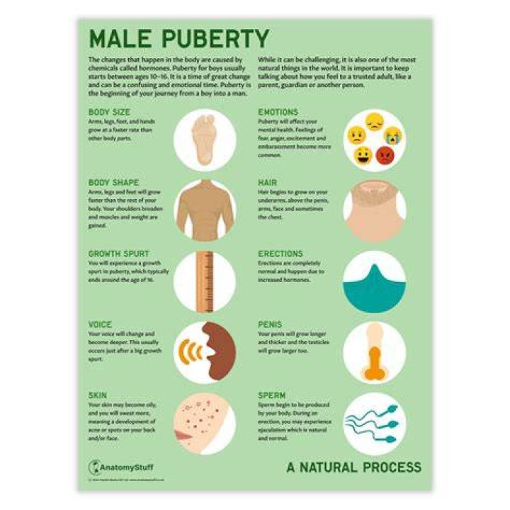 How to describe pubescent?