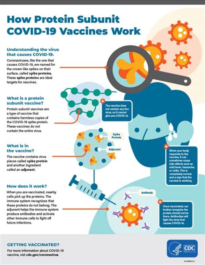 How to make subunit vaccine?