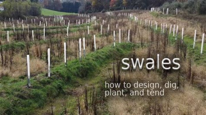 How to make swales?
