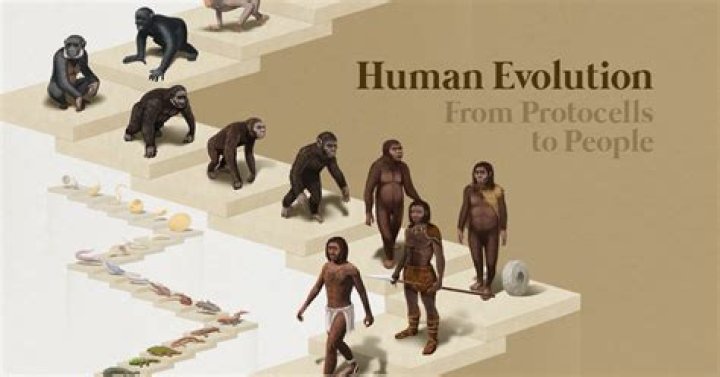 In metamorphoses who created humans?