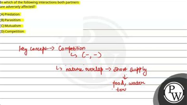 In which interaction both partners are adversely affected?