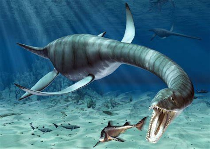 Is a plesiosaur a dinosaur?