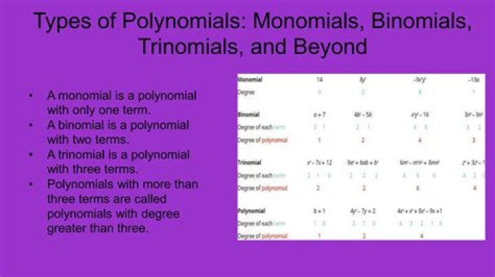 Is a polynomial with only one term?