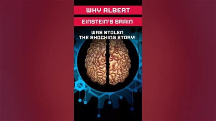 Is albert einstein brain stolen?