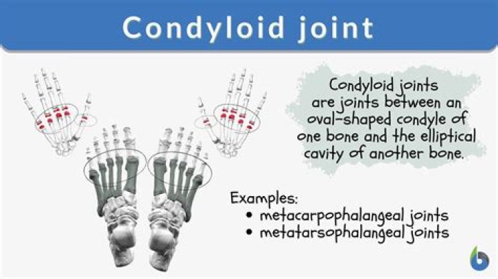 Is ellipsoid joint the same as condyloid?