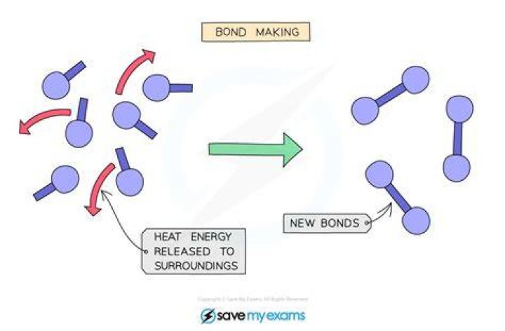 Is exothermic bond making?