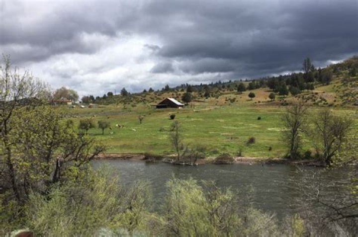 Is hornbrook ca safe?