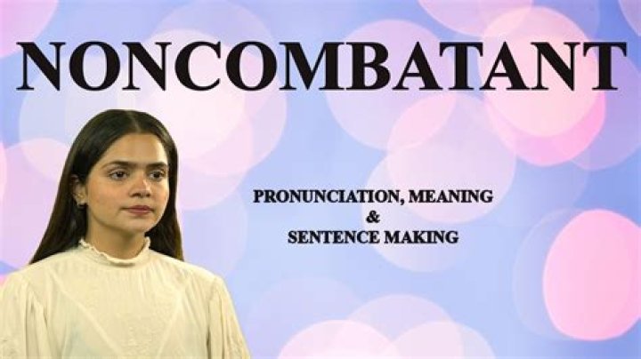 Is noncombatant one word?