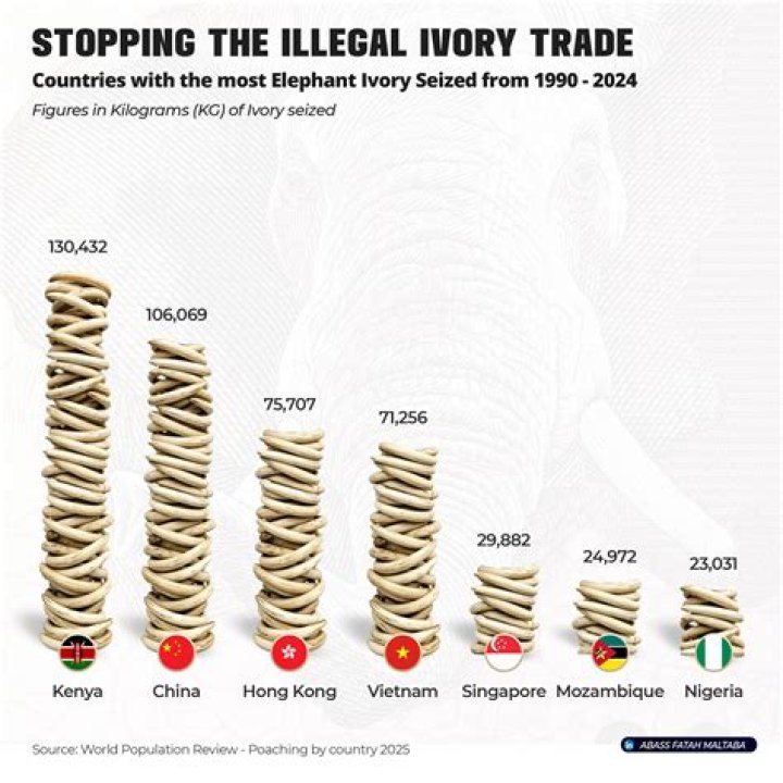 Is possessing ivory illegal?