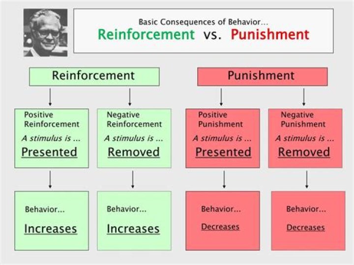 Is the difference between negative reinforcement and punishment?