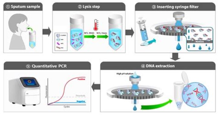 Is the pcr test accuracy?