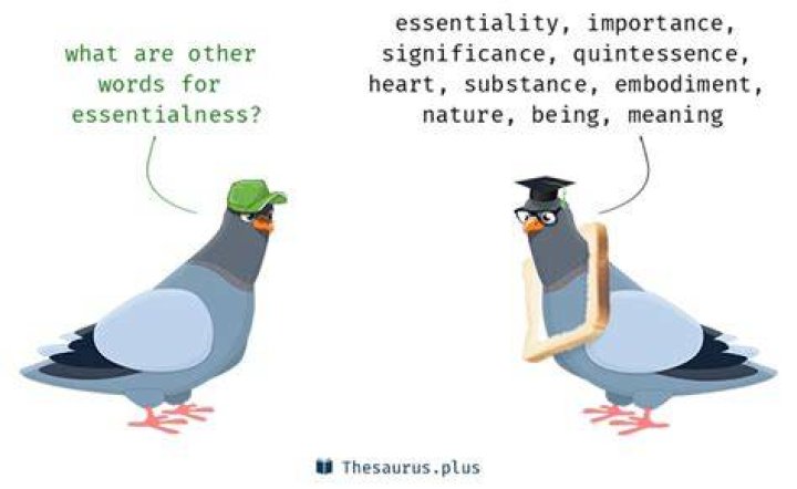 Is vitalness a word?